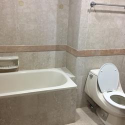 Tanglin Regency (D10), Condominium #133798502